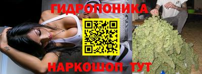 МДМА Камышлов
