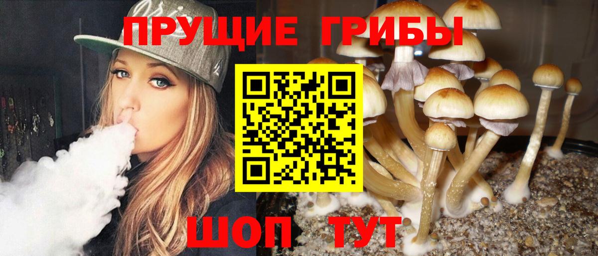 Галлюциногенные грибы GOLDEN TEACHER Нововоронеж